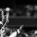 Black and white image of audience with hands raised, capturing concert energy.